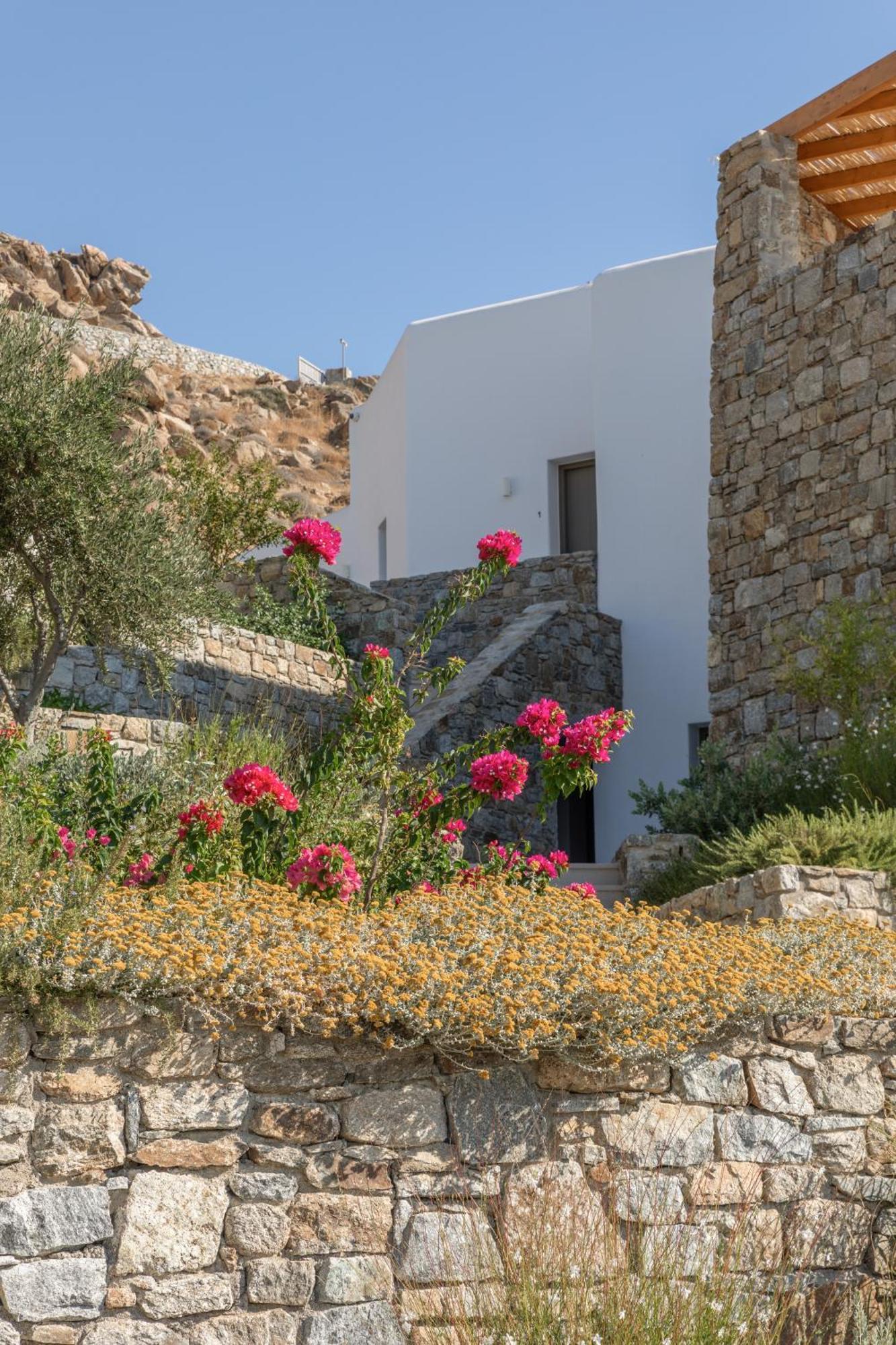 Calma Suites Mykonos Psarou  Exterior foto